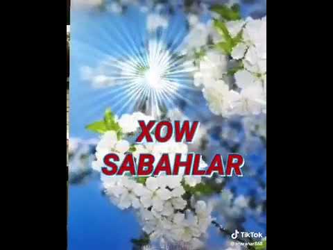 Sabah Xeyir Olaun Can dostum-Leyla Allah tutugun oruc ve dua qebul etsin insallah 🙇‍♂️🌷🌷⚘🌹🥀😋😋