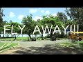 Fly Away!!!  Taeko Okumura 奥村多恵子 Original