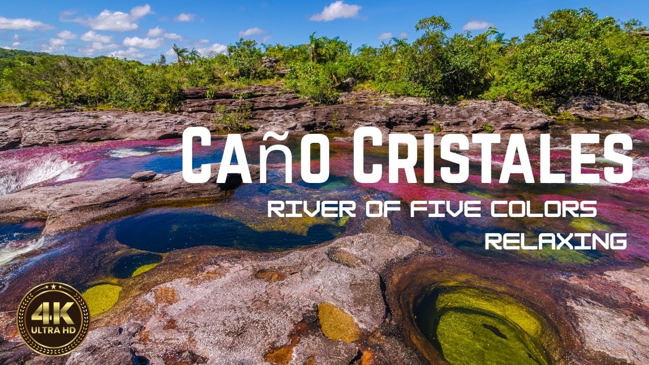 Caño Cristales – River of Five Colors | Relaxing 4K Nature Video | Colombia’s Rainbow River