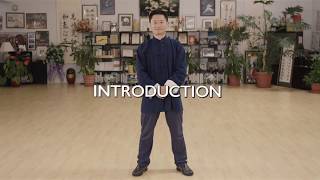 Chen Tai Chi (YMAA DVD Intro chapter) Chenhan Yang 56-form 5-minute clip screenshot 4