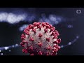 Study: Half Of Americans Will Get COVID-19 Vaccination