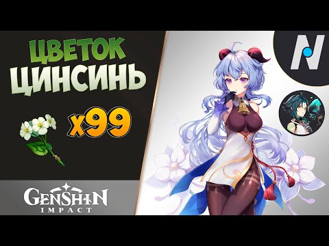 ЦВЕТОК ЦИНСИНЬ - Сбор Всех. ЛУЧШИЙ Маршрут | Genshin Impact