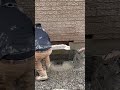 #concrete #satisfying #anotherbrickinthewall #ihavethisthingwithplants