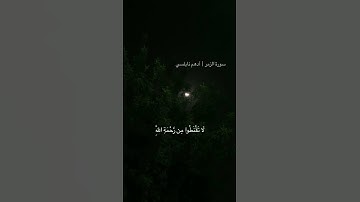 سورة الزمر | أدهم نابلسي