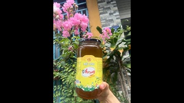 MẬT ONG TỰ NHIÊN HOA TRÀM  RỪNG U MINH