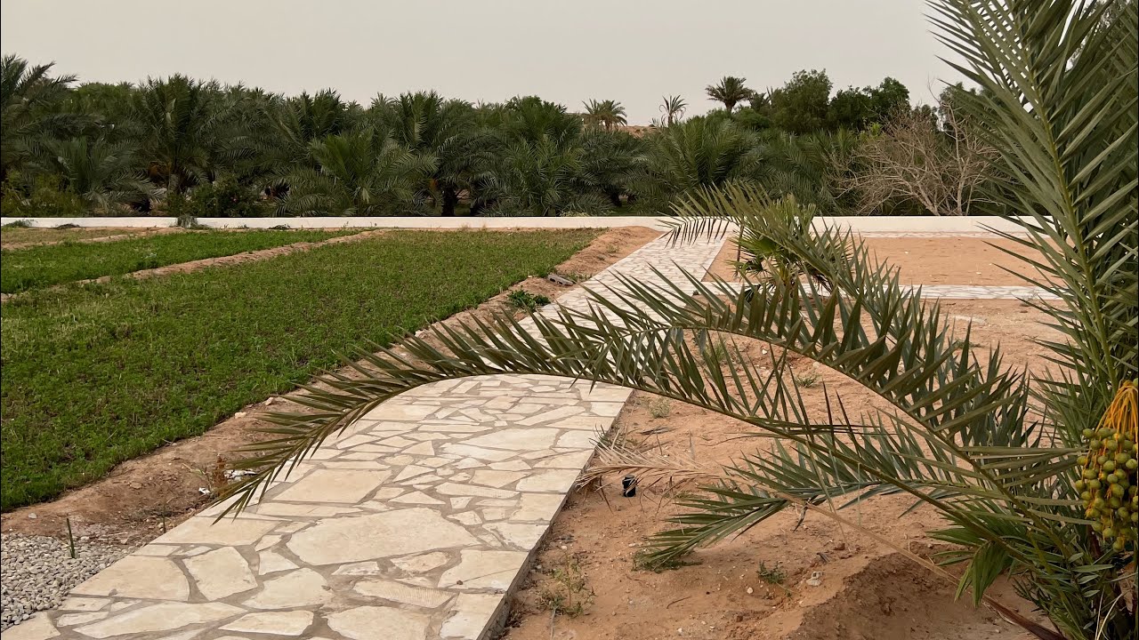 مزرعة عنيزة مخطط الملز الزراعي بمساحة 24،500 م