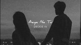 Aaya Na Tu (slowed reverb)