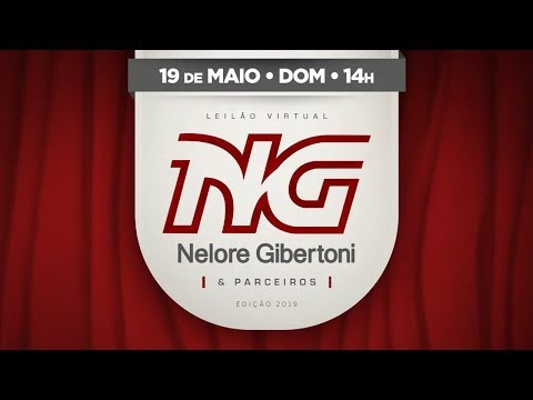 Lote 100 (Gênova Giber - GIBE 343)