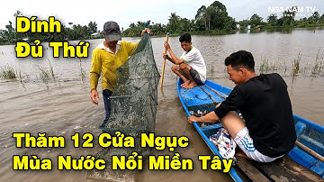 CÁCH BẮT CÁ BẰNG 12 CỬA NGỤC Ở MIỀN TÂY MƯU SINH MÙA MƯA BÃO/CATCH THE FISH