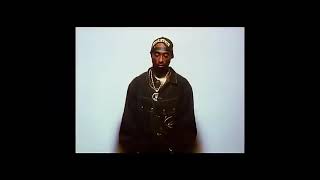 2pac - changes ft. talent Net Worth