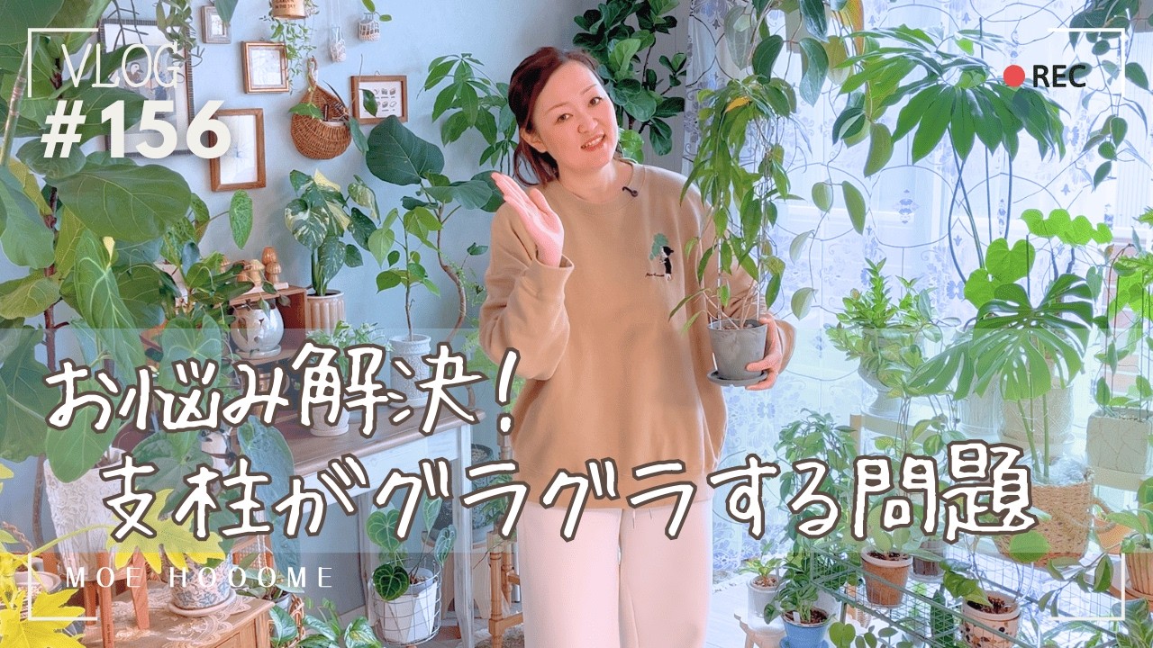 【お悩み解決】植物を絡ませる支柱がグラグラする問題（Vlog/156）