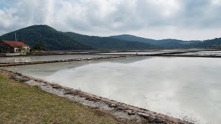 SALT WORKS (FIELDS) OF STON, CROATIA! (4K)