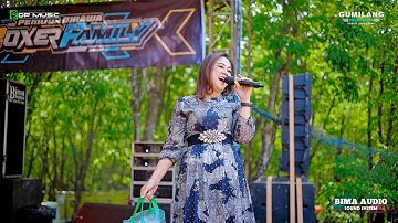 DP MUSIC - BUKIT BERBUNGA - EVA AQUILA - PARTY BOXER FAMILY - DERMOLO KEMBANG JEPARA