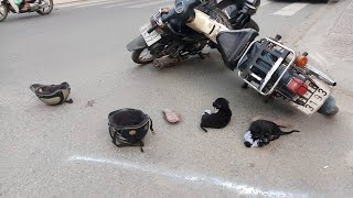 From a serious traffic accident, two poor puppies were rescued