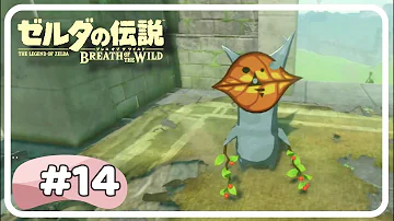 تحميل ゼルダの伝説ブレスオブザワイルド 祠チャレンジ