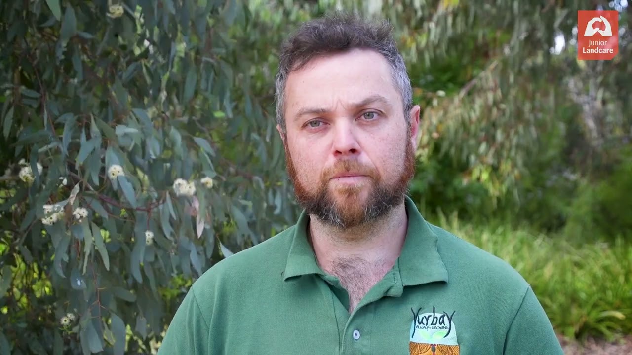 Creating an Indigenous plant-use garden: site assessment