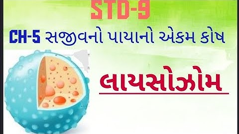 Science * Std-9* ch-5 સજીવ ના પાયા નો એકમ કોષ - લાયસોઝોમ