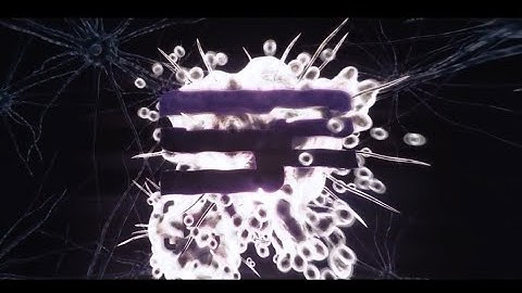 SoaR Paste: 4 Hitmarkers! (1 Day)