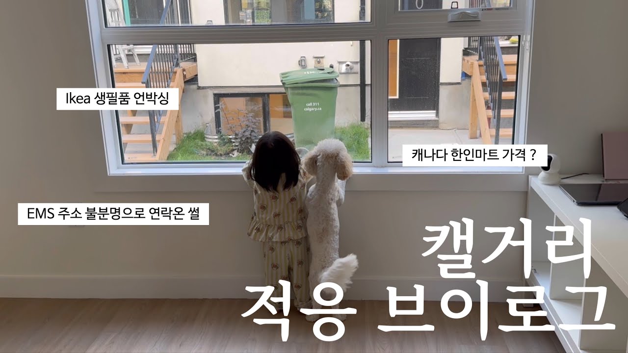 EMS 주소 불분명으로 다시 반송된다고요..? 📦🇨🇦 | 캐나다 정착 브이로그 | 이케아 한국택배 언박싱, 캐나다 고기