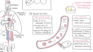 PART II - Pneumonia (Transmission, Causative Agents, Investigations, Management)