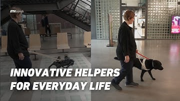 Innovative Helpers for Everyday Life