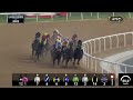 Dubai Golden Shaheen Sponsored by Nakheel – Tuz – Dubai World Cup 2024