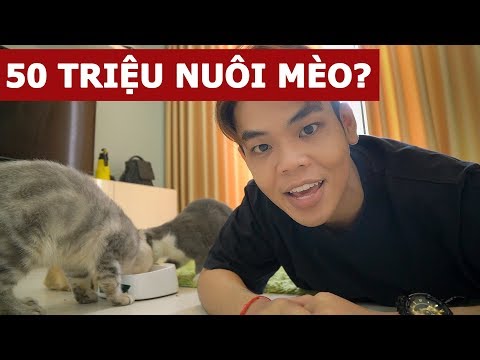 Video: Bao nhiêu sỏi cho một bể cá 30-Gallon?