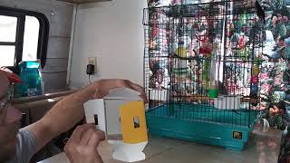 Unboxing My Two New Budgie Birds