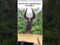 Animals that could be gone by 2028😭.#animals #wildlife #pets