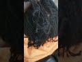 Retightening sisterlocks with 8 months growth sisterlocks sisterlocksjourney trending dread