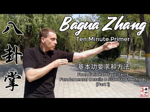 Bagua Zhang Ten Minute Primer - Foundational Basic Skills (Part 1)