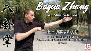 Bagua Zhang Ten Minute Primer  Foundational Basic Skills (Part 1)