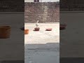 kya aap garmi se pareshan hai