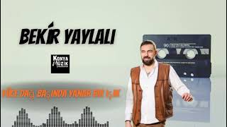 Bekír Yaylalı - Yüce Dağ Başında Yanar Bir Işık