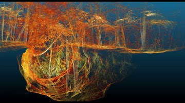 A Walk in the Blue Lake Glow-worm Grotto, Rotorua NZ in 3D with the Hovermap