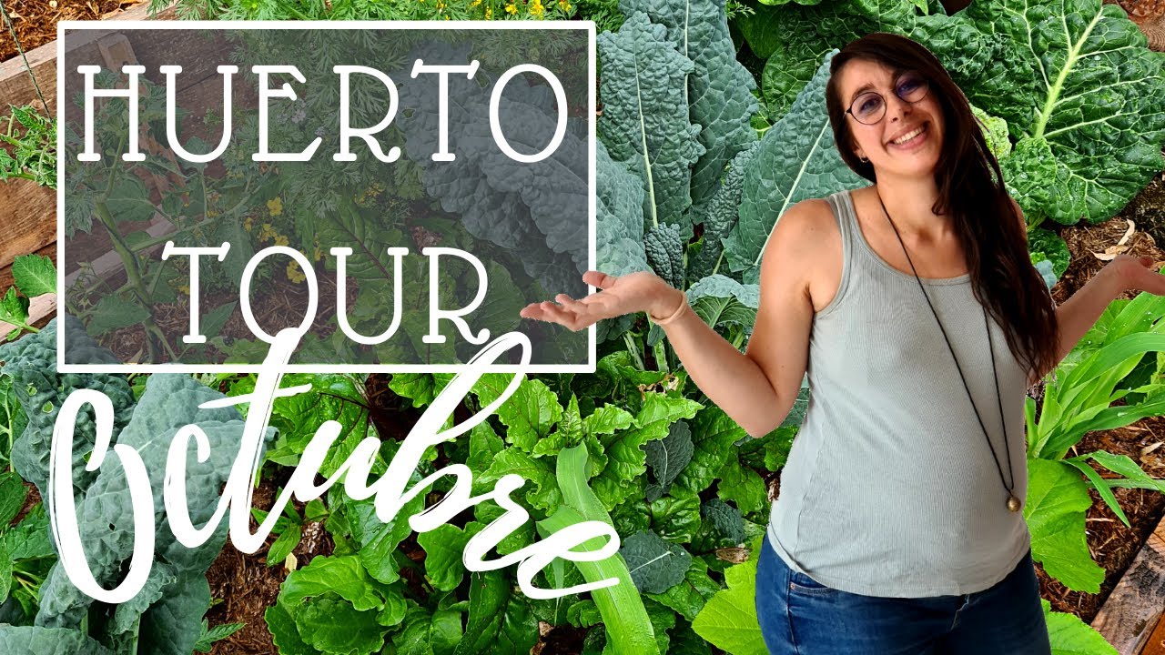 El OTOÑO llega al HUERTO🍂🍁 Huerto Tour Octubre.