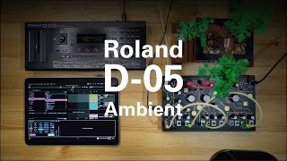 Roland Boutique D-05 Modular Synth Ambient
