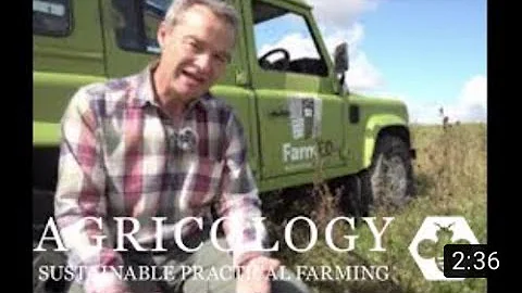 Mob Grazing Herbal Leys - Agricology Vlog Sept 2019