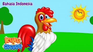 Si Ayam Ceria Bartolito 🐓 | Belajar Suara Hewan dengan | Lagu Anak anak   Kuku dan Cucudu