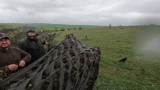 Crow Hunting in Bulgaria  17.04.23