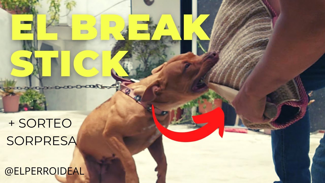 El Break Stick Ft La Moka Apbt LA HERRAMIENTA DIFINITIVA YouTube