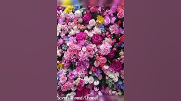 سوره الاخلاص، الفلق، الناس ✨قران كريم راحه نفسيه 🥰♥✨