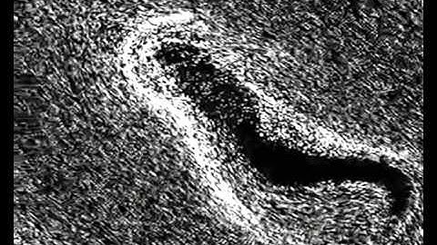 Our Computational Physics Software Compilation #1