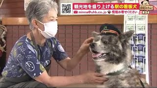 JRニセコ駅の人懐っこい「駅長犬」自慢の