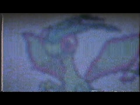 例の映像のポケモンの正体はまさかの...！？【ポケモン調査報告】