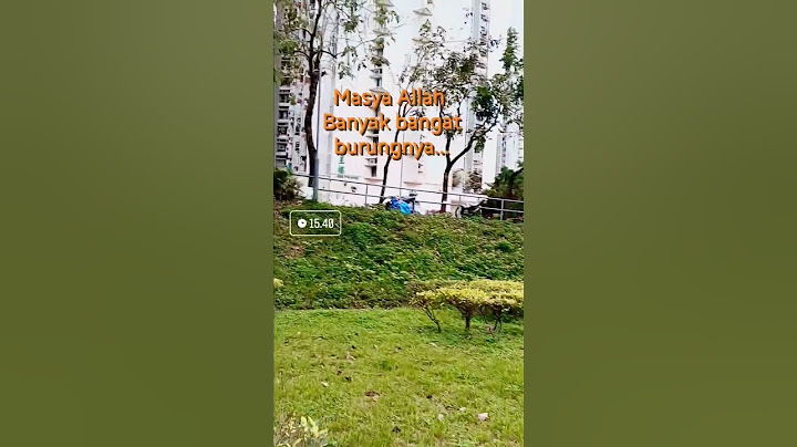 MASYA ALLAH BANYAK BANGAT BURUNGNYA.... #burung #hongkong #sedangviral #viralshort