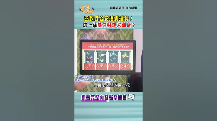 四款百合花透露运势！这一朵让你财运大翻身？｜ #命运好好玩 #shorts - 天天要闻