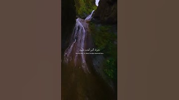 اكتب شئ تؤجر عليه ♥️🎧 سورة الفاتحة #ماهر_المعيقلي #الأجر_لي_ولك #quran #القرأن_الكريم