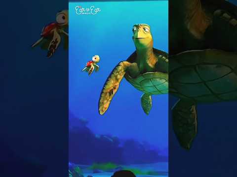 Turtle Talk with