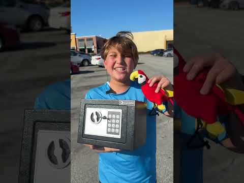 What S In Your Safe Shorts Comedy